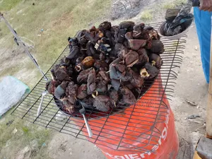 Bush Meat (Crocodile, Antelope, Grass Cutter)