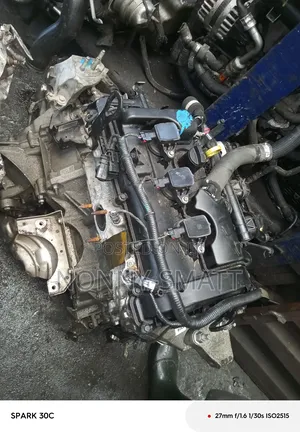 Engine for Ford Fugo/Focus, Fusion 2019 Non Turbo 3 Plug