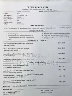 Accounting Finance CV