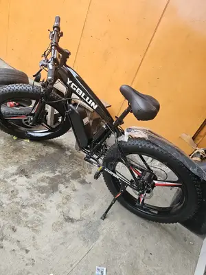 Electric Bike Tyre Bicycle Bt189