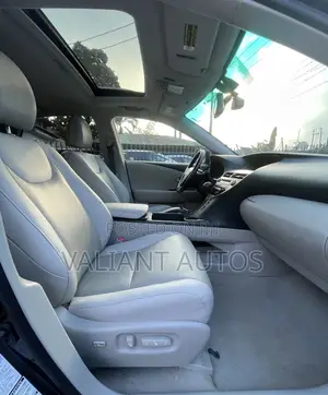 Lexus RX 2010 Gray