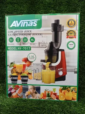 Avinas Slow Juicer Small Mouth