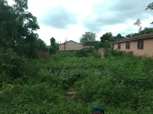 Acre of Land Along Ife-Ibadan Express Way Ikire, Osun State