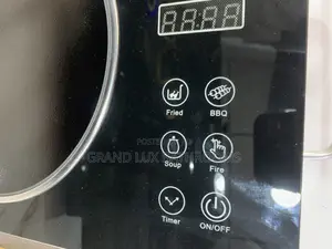 Black Portable Induction Cooker