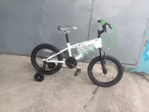 Raptor Children Bicycle