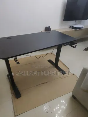 Luxury Ergonomic Electric Adjustable Desk