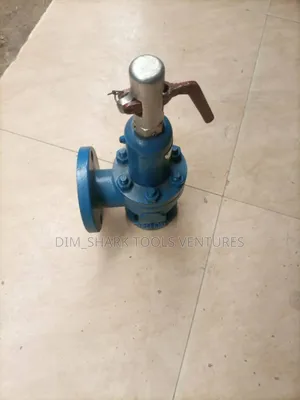 1"Inch X 2"Inch Safety Relief Flanged Valve