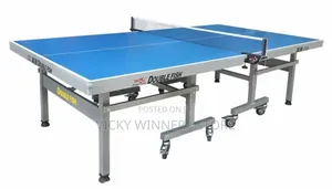 235 Double Fish High Quality Customized Table Tennis Board