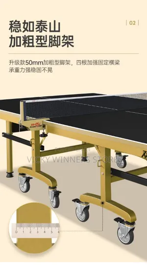 266 Double Fish Ittf Approved Table Tennis Board