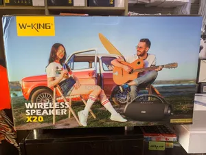Wking X20 Wireless Bluetooth Speaker