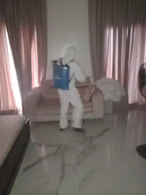 Bedbugs Professional Fumigation