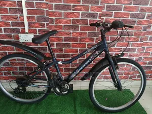 Adult Bicycle Size 24 Apollo