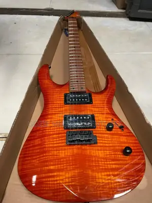 Luxars Electric Guitar