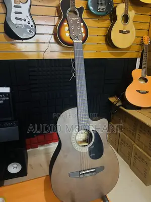 Acoustic Guitar Chocolate Color