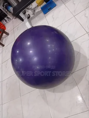 Exercise/Gym Ball