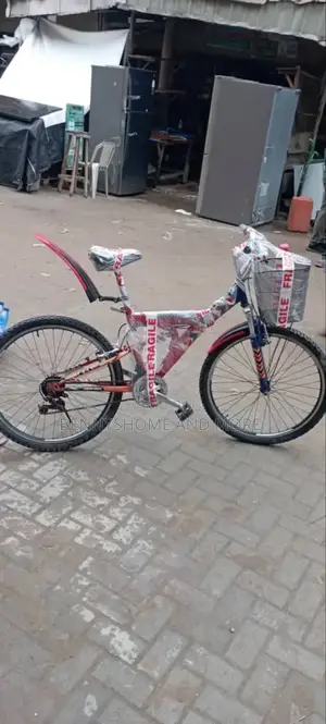 Adult Bicycle Size 24