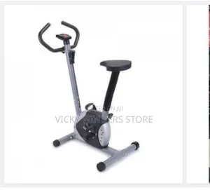 Magnetic Bike