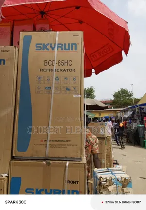 85 Liter Refrigerator Skyrun