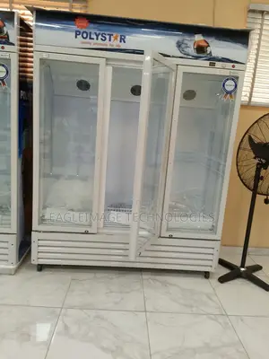 Elegant Polystar Pv-Sc1275dd3l Triple-Door Display Freezer