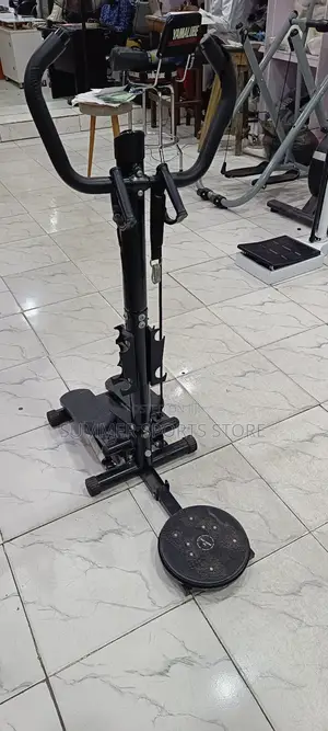Exercise Stepper With Twister