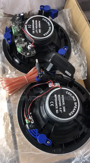2 in 1 Bluetooth Ceiling Speaker Sound Code 30 Watts
