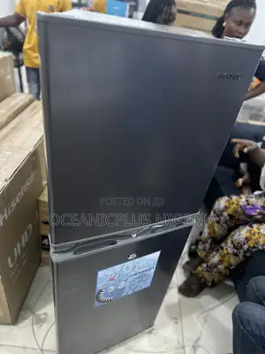 Skyrun Energywise 195 Liters Refrigerator (Model BCD-195hs).