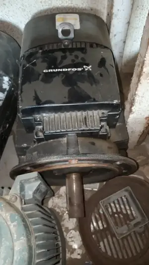 Grundfos Electric Motor