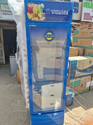 Snowsea Upright Fast Freezing Showcase/Chiller Refrigerator | Lc 400