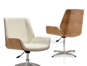 Contemporary Style Low Back Ergonomic Office Chair