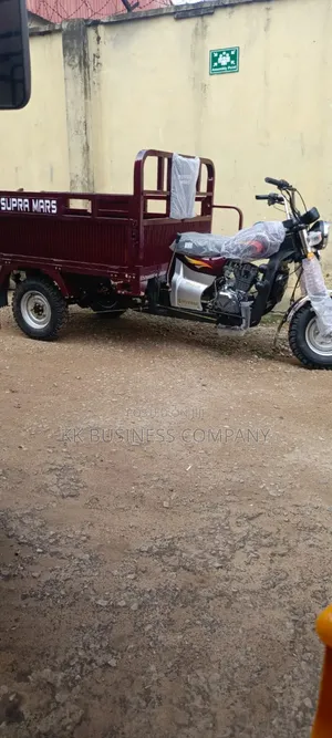 New Motorcycle 2025 Gray