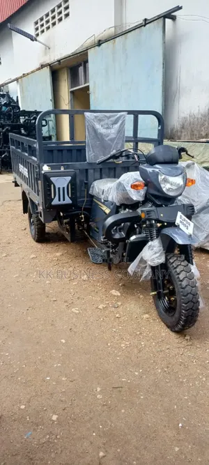 New Motorcycle 2025 Gray