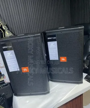 12 Inches JBL Speakers Big Magnet Direct JBL