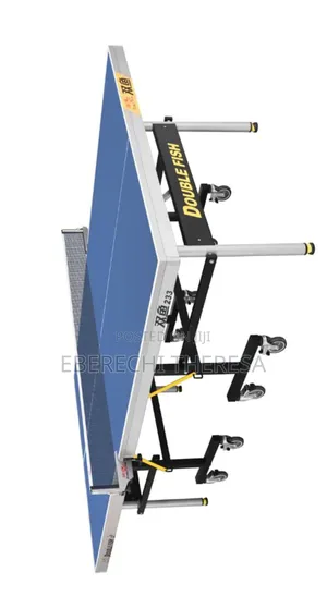 Outdoor Double Fish Table Tennis Table
