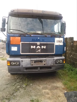 Man Truck 2017 Blue