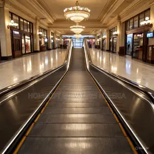 Customized High Speed Moving Walkway Escalators