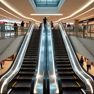 Moving Sidewalk Escalators