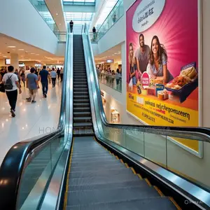 6 Degree Indoor Outdoor Moving Walkway