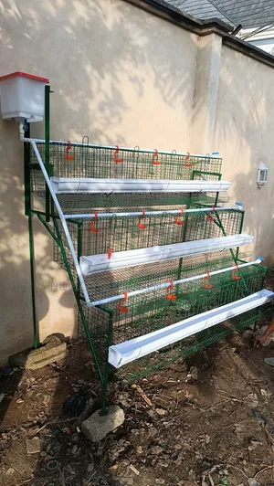 Green Coated Poultry Cage