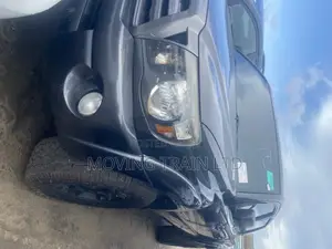 Toyota Tacoma 2010 Gray