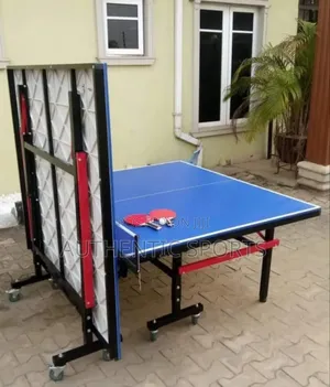 German Rock Waterproof Outdoor Table Tennis Board+2bat+6bals