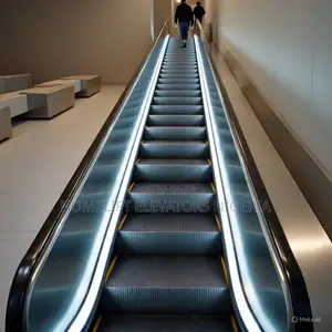 Convenient Transport Escalators for Passenger