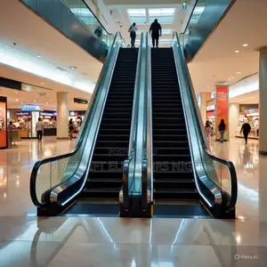 Escalators Flow Control Access Management