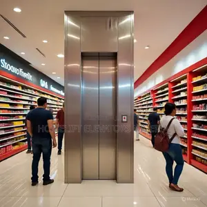 Aluminum and Glass Passenger Elevator
