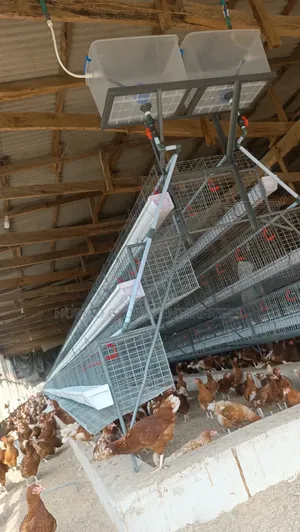 New Poultry Cage