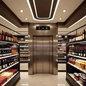 1000kg 10 Step Passenger Elevators