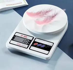 Digital Electronic Scale