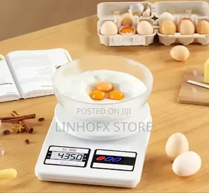Digital Electronic Scale
