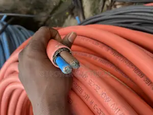 35mm 2 Core Armored Cable