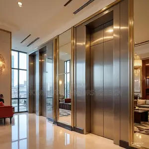 Budget Friend Passenger Elevators