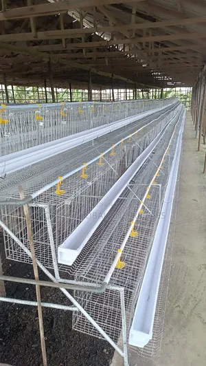 Semi Automated Poultry Cage
